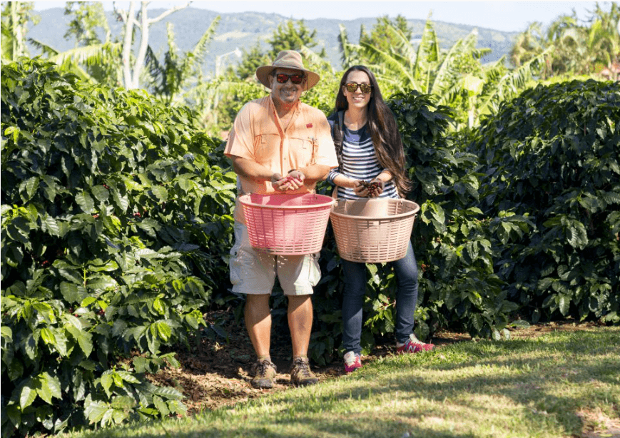 Plantation de café Doka Estate - Costa Rica