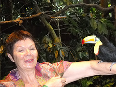  Observation de la faune dans un circuit au Costa Rica francophone