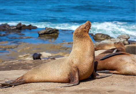 Circuit 5 jours Galapagos