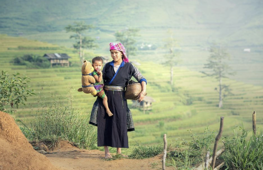 Sapa