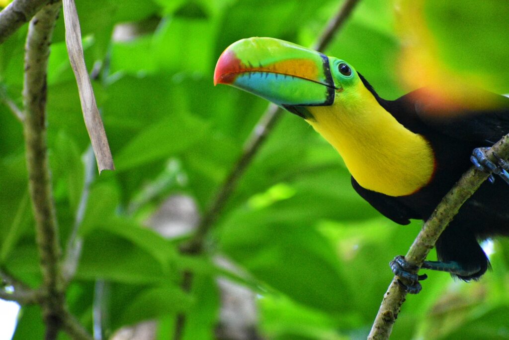 Costa Rica
