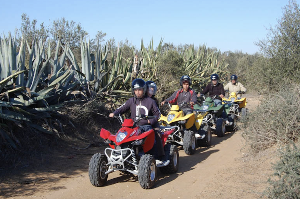 El Mouradi Palace-vtt