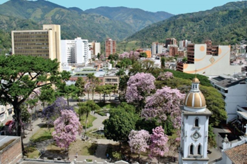 Ibagué Enforex