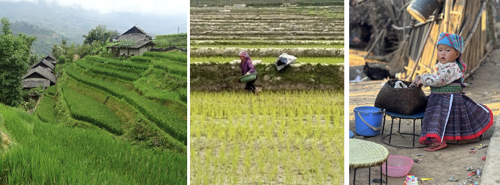 Randonnée dans les villages de Lao Chai et Ta Van à Sapa, Vietnam.