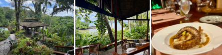 croisière tropicale, péninsule d’Osa, lodge en pleine nature, aventure au Costa Rica