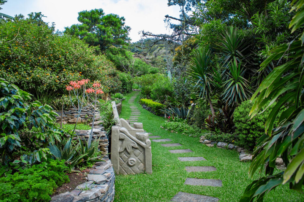 Jardin de l'hôtel Poco a Poco à Monteverde