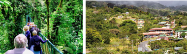 ponts suspendus Monteverde, forêt tropicale, biodiversité, réserve biologique