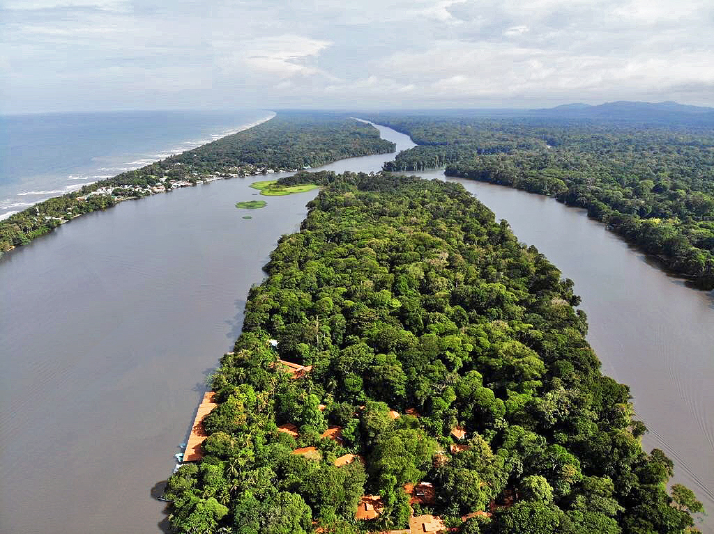 parc national Tortuguero, faune tropicale, tour en bateau