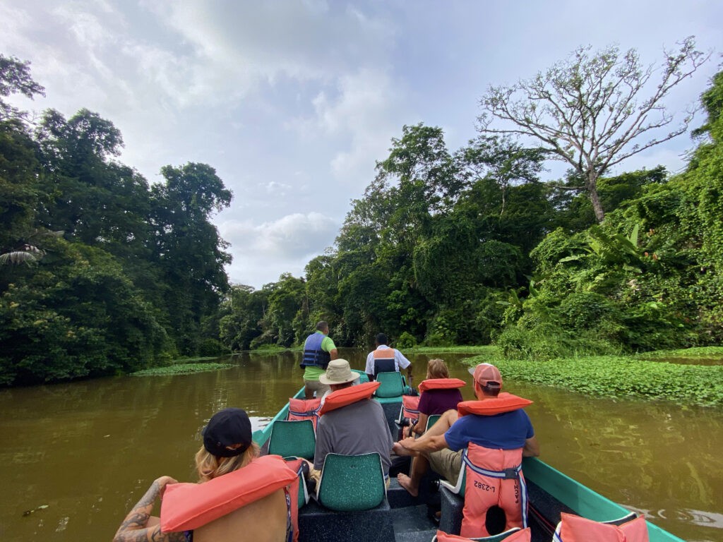 Visite du parc national de Tortuguero en bateau, nature