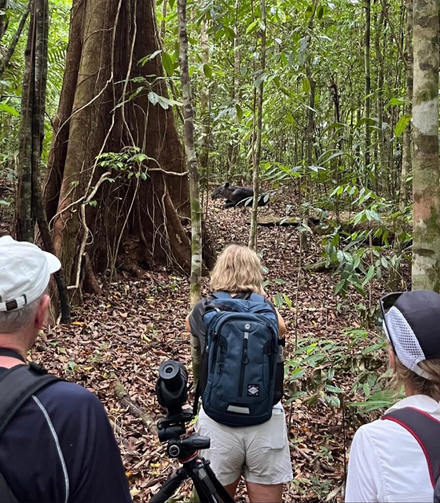 Randonnée au parc national de Corcovado inclus dans le circuit accomapagné au Costa Rica