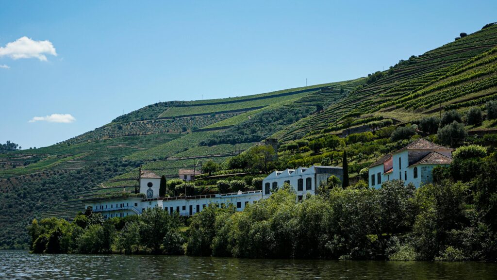 Vignobles en terrasses du Douro – circuit découverte Portugal 2026