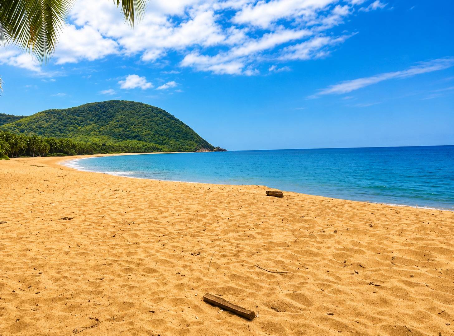 Plage de Deshaies en Guadeloupe avec sable doré, mer turquoise et montagnes tropicales.