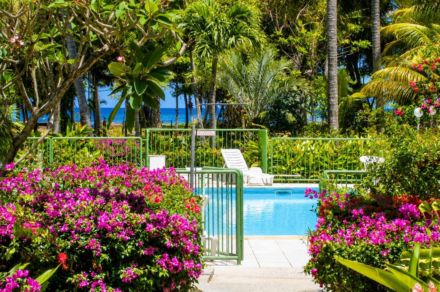 Piscine extérieure des Bungalows Deshaies en Guadeloupe.