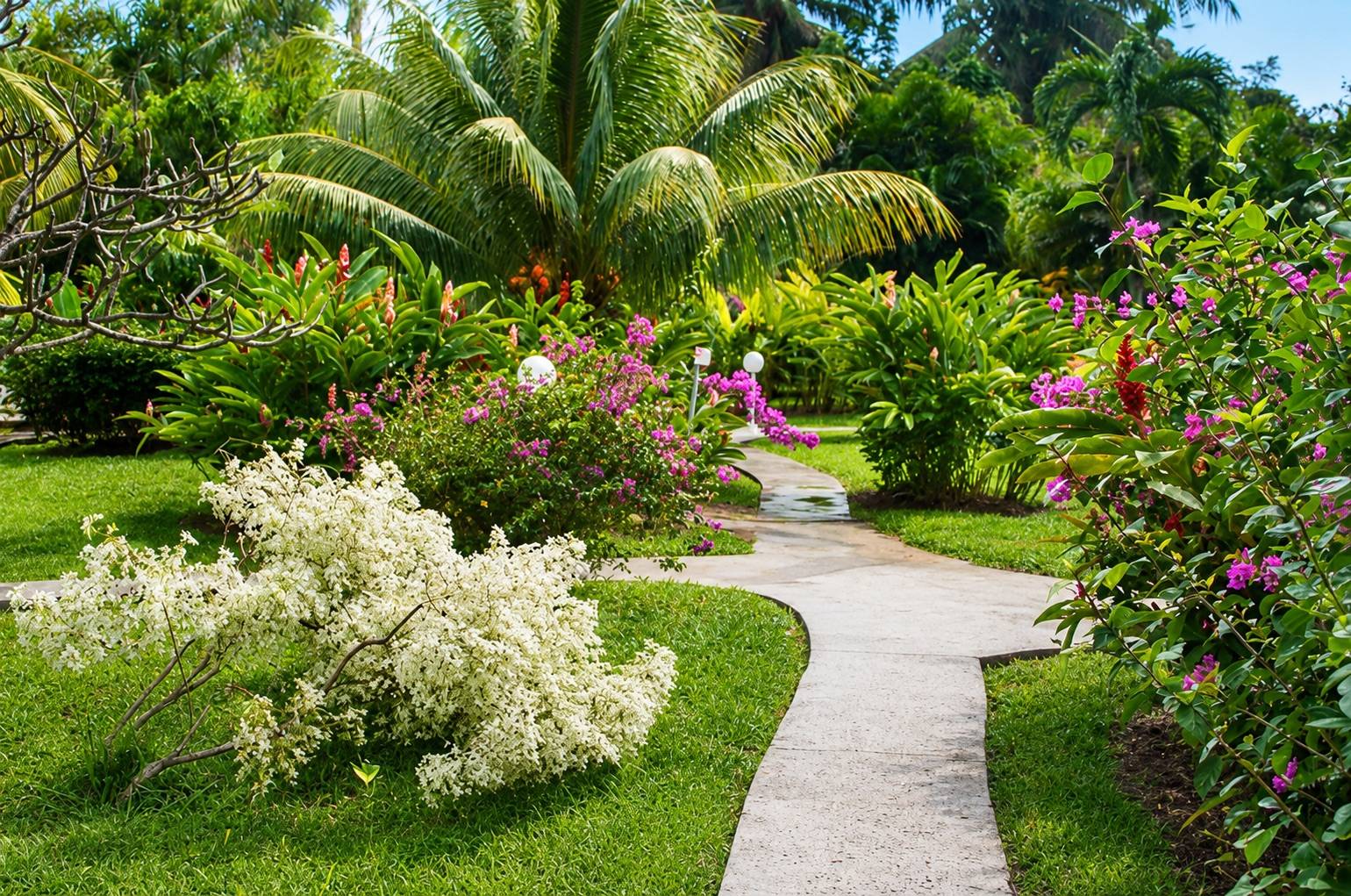 Pavillon extérieur des Bungalows Deshaies près de la piscine en Guadeloupe.
