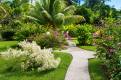 Jardin-tropical-Bungalows-Deshaies